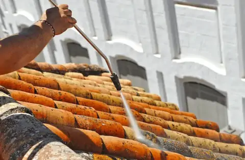 Nettoyage de toitures - Cros